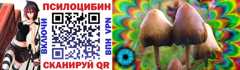 Галлюциногенные грибы ЛСД  Донецк 