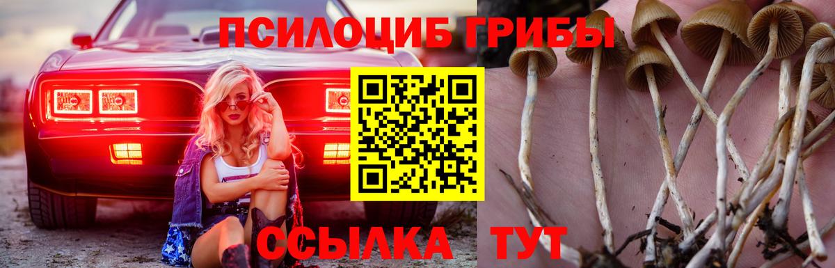 Галлюциногенные грибы мухоморы  Вход с VPN  где купить наркоту  Донецк 